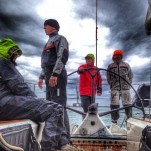 TAN Livorno 2014