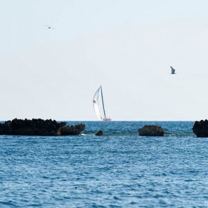 IMG_5254
